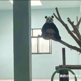 输入昵称