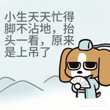 铁锅炖大鹅
