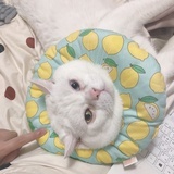 砖