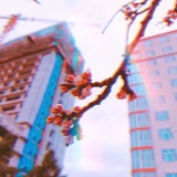丹诺行