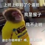 猴子不上班