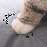 蛋蛋的异想世界
