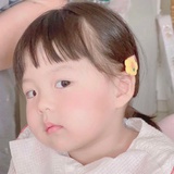 蜻蜓不再路过