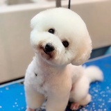 哈哈哈哈哈哈