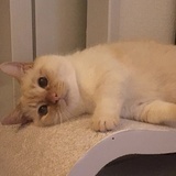 怎么会这样