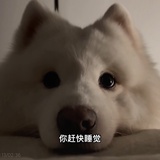 新名字新气象