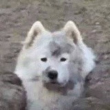 ๑