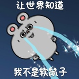 回租大王八