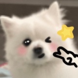 星河璀璨