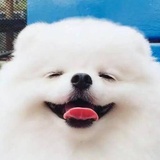 凯伦不凯勒