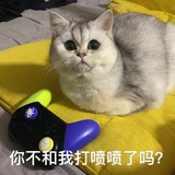 鞋拔子脸
