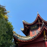 张羊羊🐑