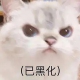 长成小🐟苗