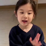 沅冬青