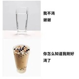 毛球
