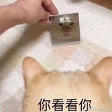 耶耶耶