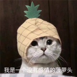 吃撑了