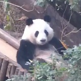 李少年的宝贝