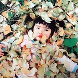 木游