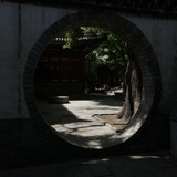 柠柠