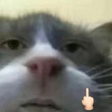 糟糕的家伙