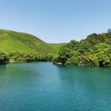 藕花风