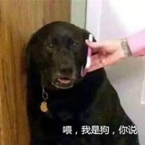 管 理 员