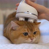 嗦粉快乐