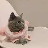 桐桐最乖