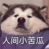 白玫瑰与红玫瑰