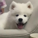 让我吃饭