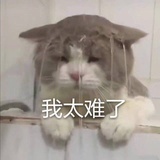 曲家瑞