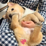 花花