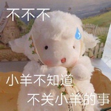 煤球你个炭