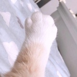 Kei_