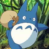 彼岸小龙猫dodo