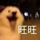 噗噗