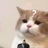 江湖人称江湖骗子