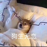 MYR