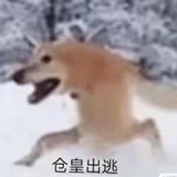 兴趣使然的二狗