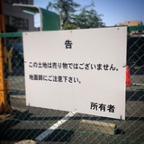 应该叫小敦