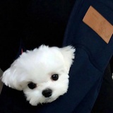 名井南