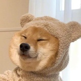 非正义路人
