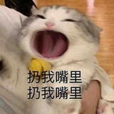 摸鱼大师