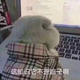 我真没想到啊