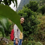 idya427