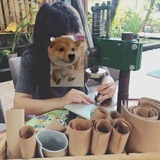 章鱼🐙
