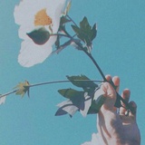 同尘
