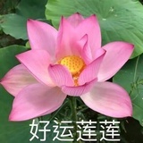 好雨与风