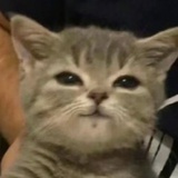 等一艘船